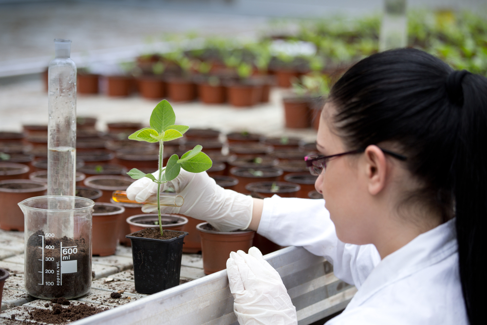 B.Sc. (Hons) Agriculture